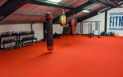 cleaned weights punch bag red carpet
