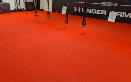 suspended gym harness cleaned red carpet